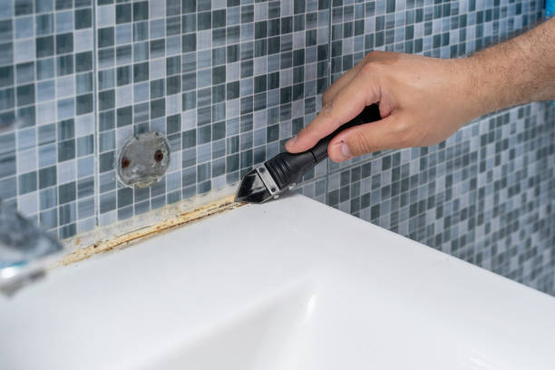 Office Mold Removal Services in Portland, MI