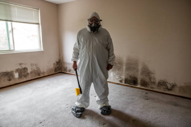 Best Emergency Mold Removal  in Portland, MI